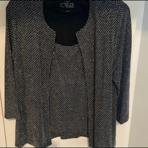 Alex Evenings 2 Piece Twin Set